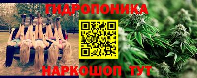 стаф Волгодонск
