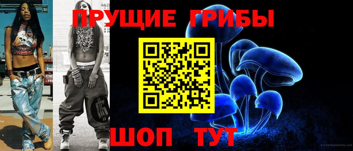 Псилоцибиновые грибы Psilocybe Борзя
