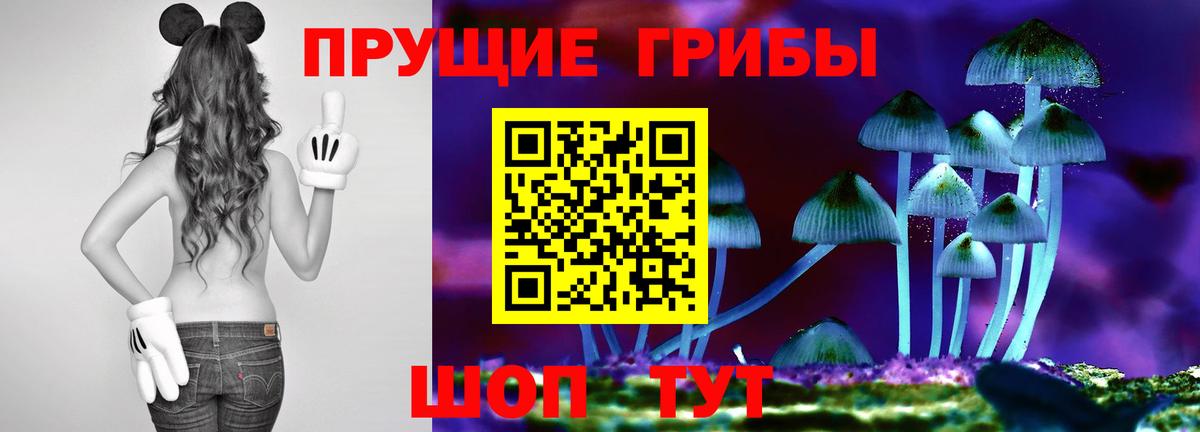 Псилоцибиновые грибы Cubensis  Галлюциногенные грибы Magic Shrooms  Борзя  Вход с VPN 